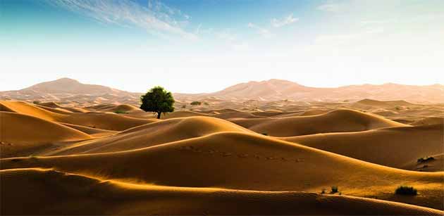 amazing desert of yazd